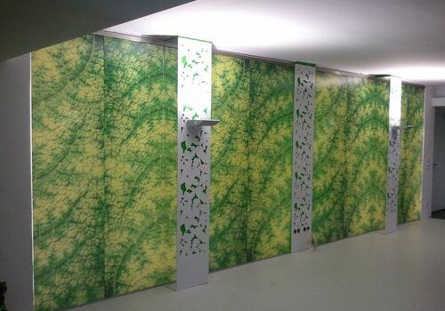 Glas: Trennwände & Türen